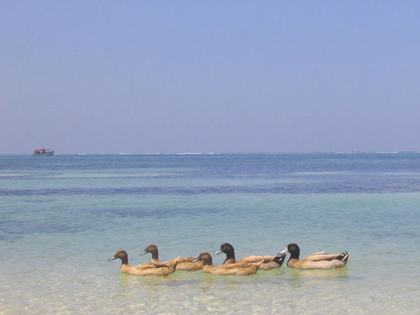 Lakshadweep