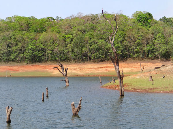 Periyar National Park