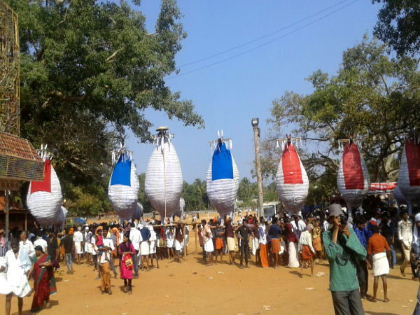 Pooram Horses 