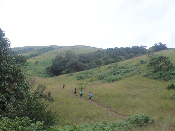 Kodachadri