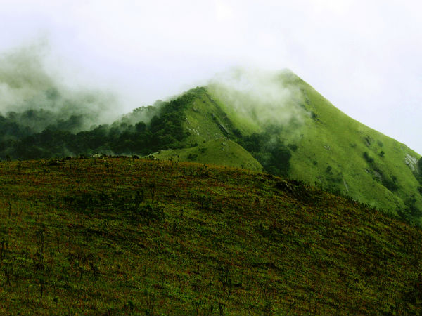 Coorg