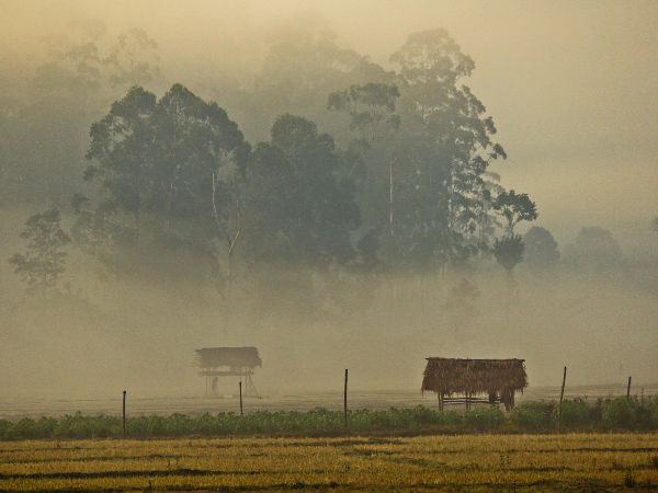 Bandipur National Park