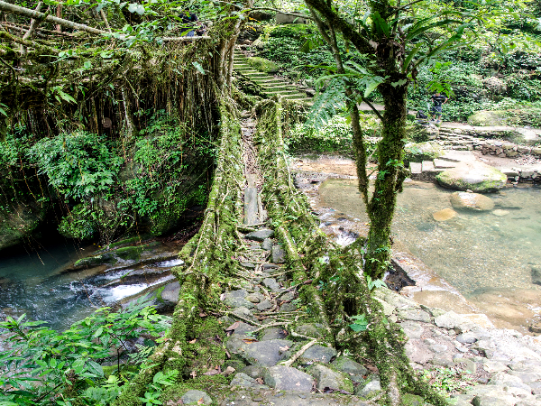 Stony Path