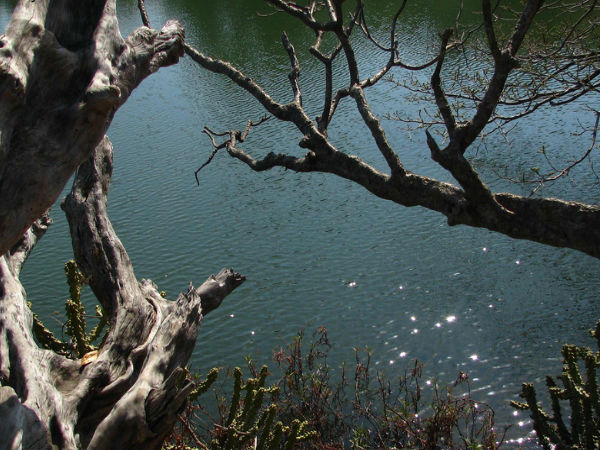 Keechakadara