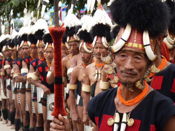In the Name of Hornbill