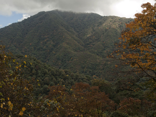 Bomdila (Day 2 & 3)