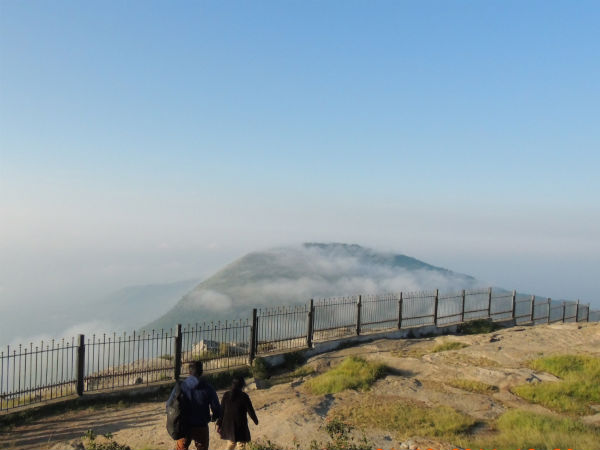 Scenic Vistas