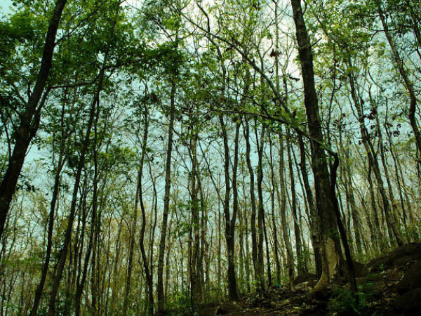 Malayattoor