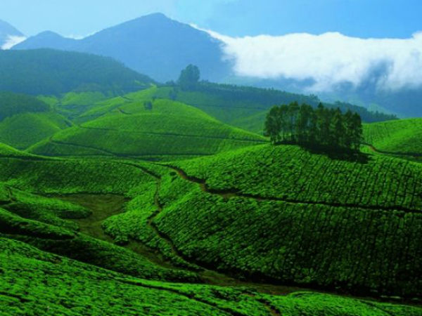 Devikulam