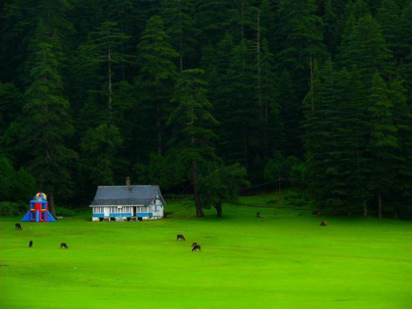 Trekking in Khajjiar
