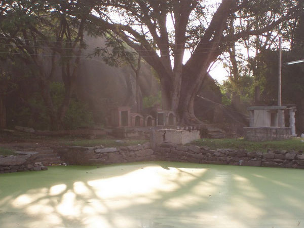 Kunti Betta