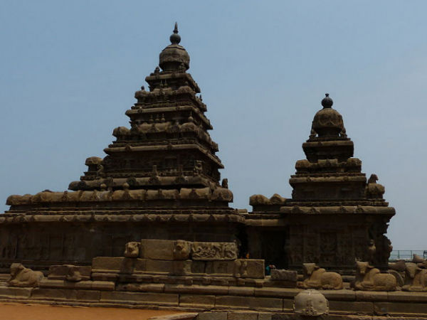 Chariot Shaped