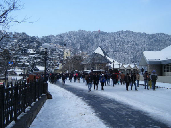 Shimla