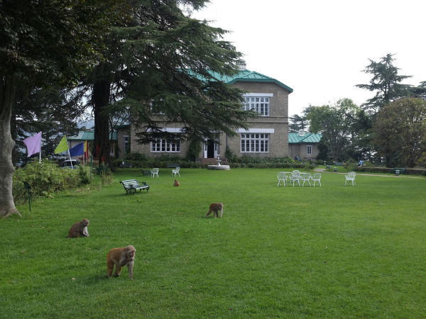 Chail Palace