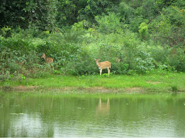 Bhopal