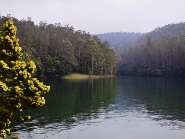 Ooty