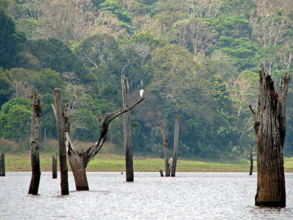 Thekkady