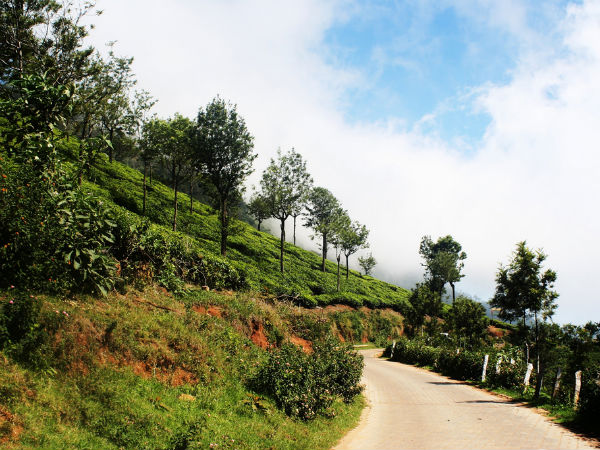 Ooty