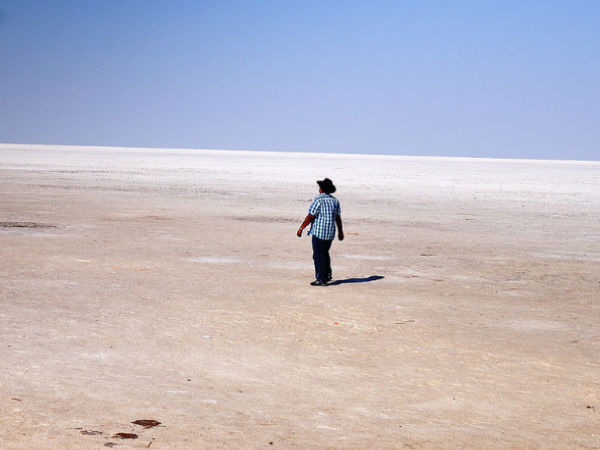 White Desert White Desert