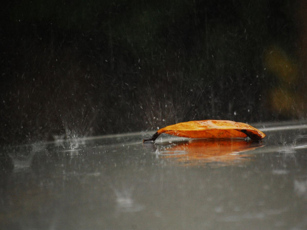 Glimpses of rain in Kerala