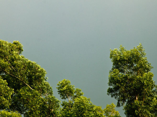 Glimpses of rain in Kerala