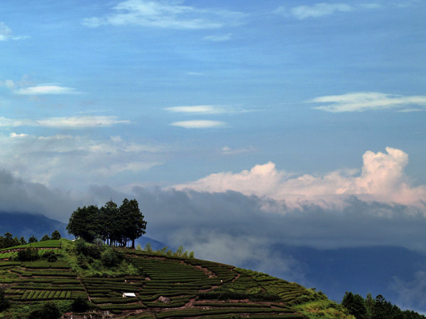 Glimpses of rain in Kerala