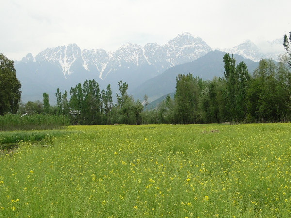 Stunning shots of J&K!