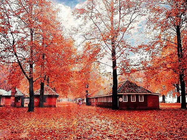 Stunning shots of J&K!