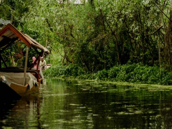 Stunning shots of J&K!