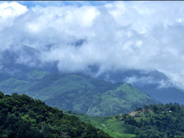 Best Shots of Munnar!