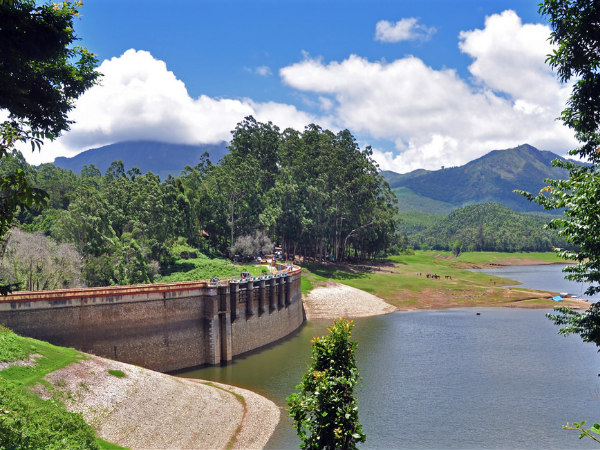 Best Shots of Munnar!