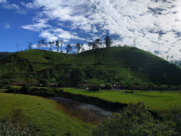 Best Shots of Munnar!