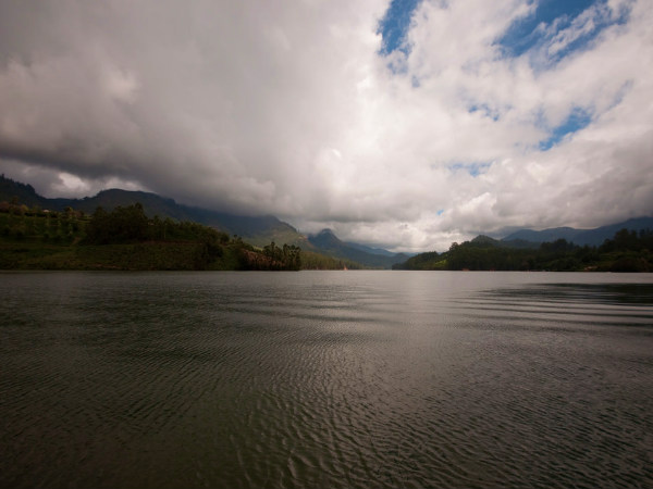 Best Shots of Munnar!