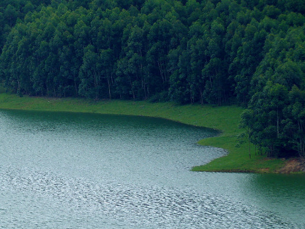 Best Shots of Munnar!