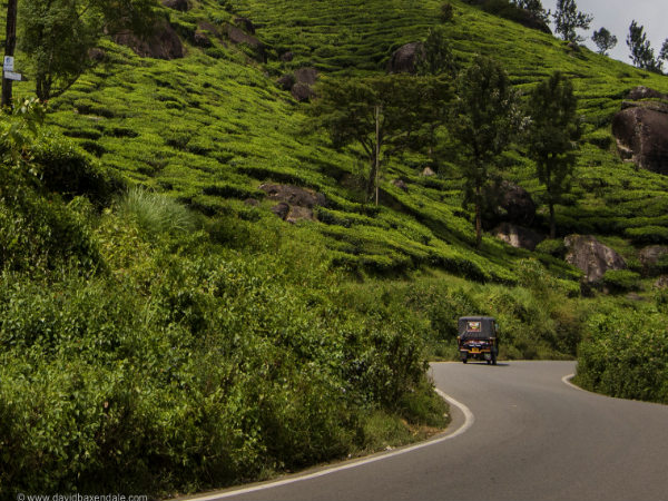 Best Shots of Munnar!