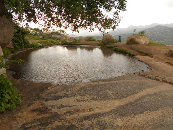 Mesmerizing Ponds