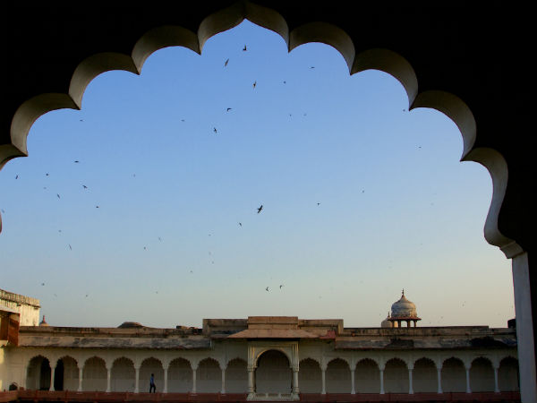 Take a trip to the wonderful land of Agra!