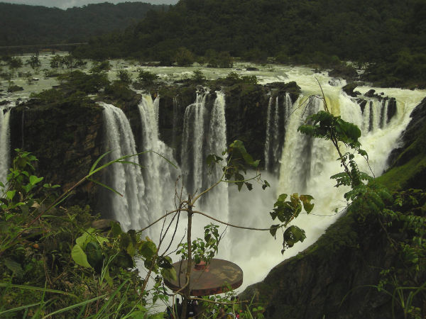 Spellbinding Facts About Jog Falls Spellbinding Facts About Jog Falls
