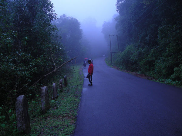 Spellbinding Facts About Jog Falls Spellbinding Facts About Jog Falls