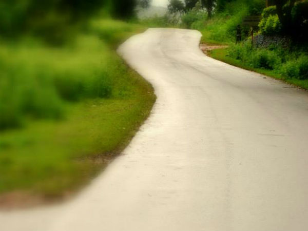 Take a tour around the serene Chikamagalur this monsoon!
