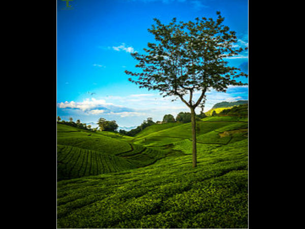 Coonoor