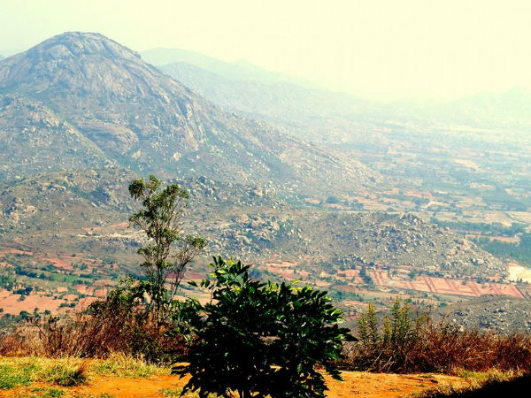 Nandi Hills