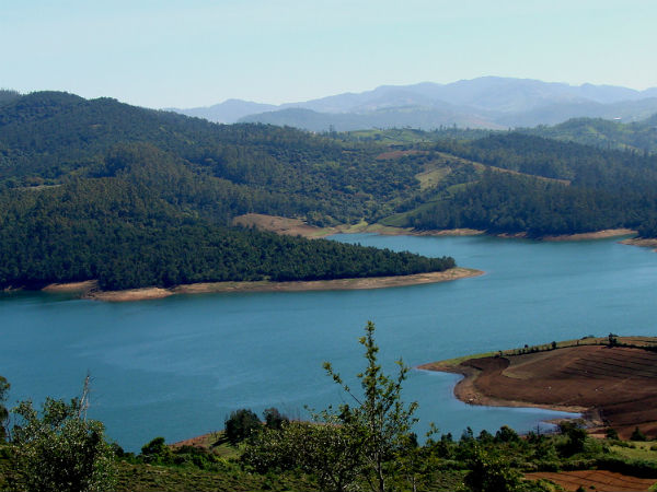 Ooty