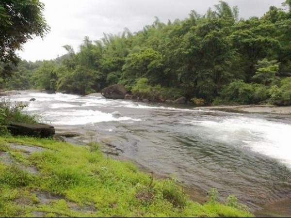 Top 10 Unknown One Day Destinations In Kerala - Nilambur