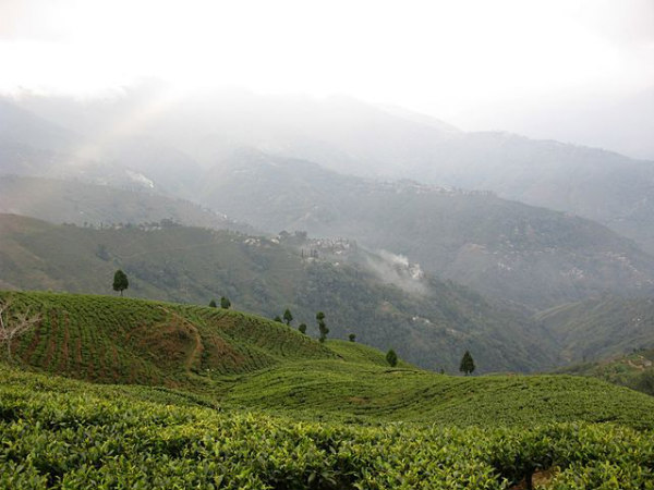 Darjeeling