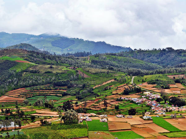 Ooty