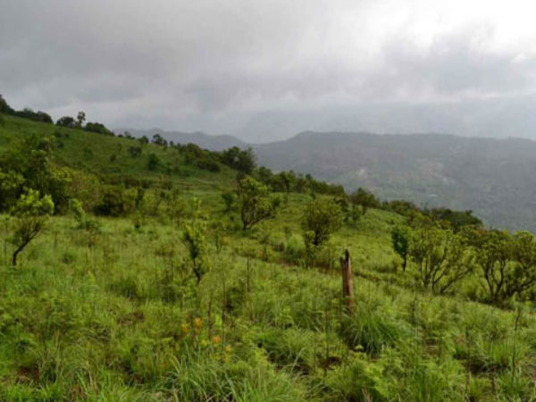 7 Unknown Offbeat destinations in Idukki - Palkulamedu
