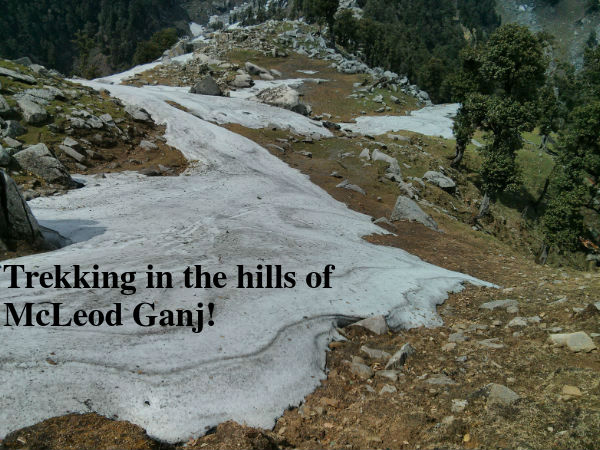 Most Incredible Bucket List Experiences In India - McLeod Ganj