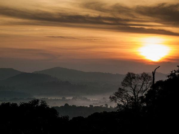 Coorg