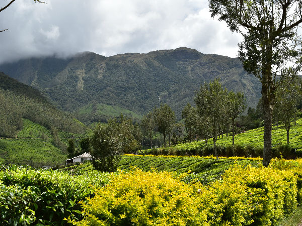 7 Unknown Offbeat destinations in Idukki - Devikulam